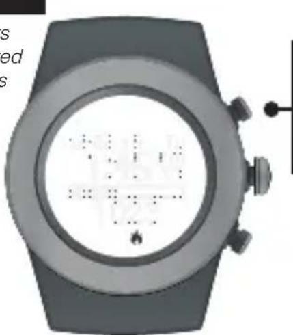 LifeTrak Brite R440 - Daylight alert will vibrate if you should get more light during the day. - 1