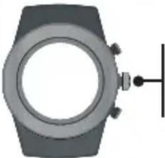 LifeTrak Brite R440 - WORKOUT : DELETE DATA - 2