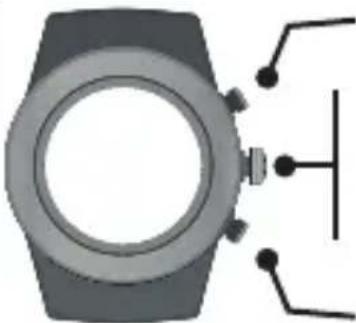 LifeTrak Brite R440 - INSIDE SETTING MODE - 1