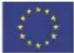European Union flag with twelve yellow stars on a blue background (no text or symbols)