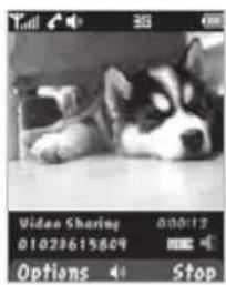 Video Sharing 00:12 01028615809 Options Stop