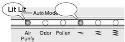 Lit Lit Auto Mode Air Purify Odor Pollen ~ ~ ~