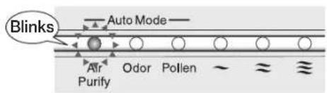 Blinks Auto Mode Air Purify Odor Pollen ~ ~ ~