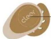 Cleer Goal - Earbuds control (Volume) - 1
