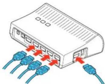 Illustration of a network switch with multiple Ethernet ports and blue connectors, no text or symbols present