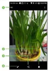 ALCATEL Streak - Working with pictures - 1