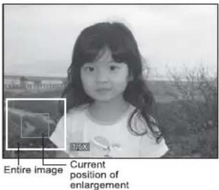 Entire image Current position of enlargement