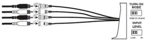 INFINITY INFDSP4425 - Signal input - 1