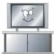 TEAC LEV32GD3HD - Cautions - 3