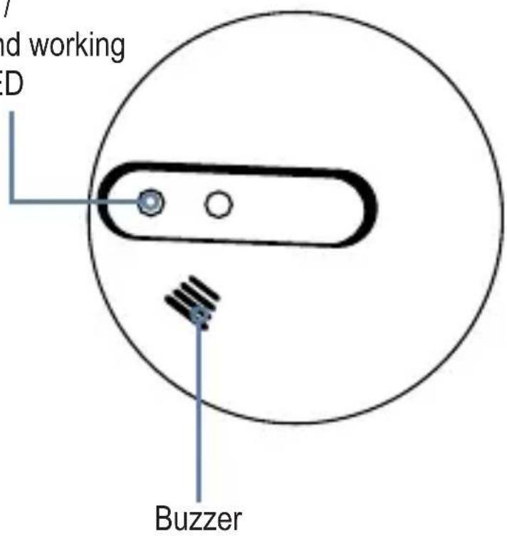 nd working D Buzzer