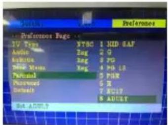 TV Type Audio Audio Music Music Pacemark Poeword Default SIA ADULT STSC 1 KID SAF 2 G 3 PD 4 PD LS 5 PSK 6 X 7 SCD7 8 ADUST