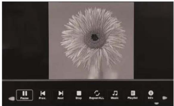 RCA RTUC5537 - Photo Menu - 2