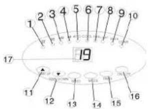 1 2 3 4 5 6 7 8 9 10 17 19 11 12 13 14 15 16