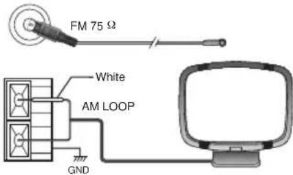 FM 75 Ω White AM LOOP GND