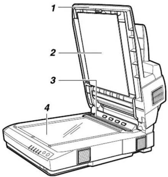 Technical diagram of a printer with numbered parts labeled 1 to 4