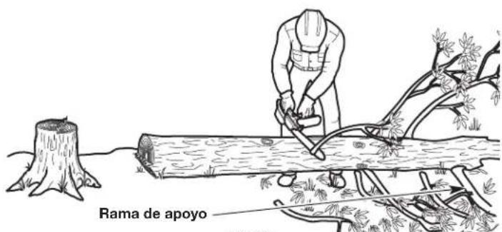 Rama de apoyo
