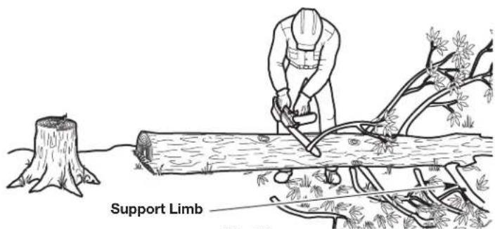 Support Limb Fig. 10