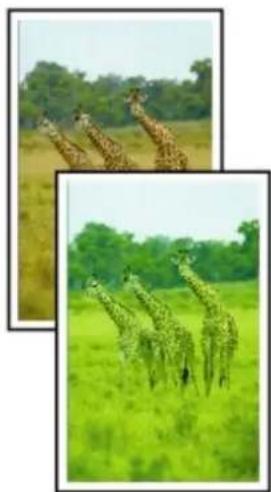 CANON Pixma TS6020 - Paper Is Blank/Printing Is Blurry/Colors Are Wrong/White Streaks Appear - 5
