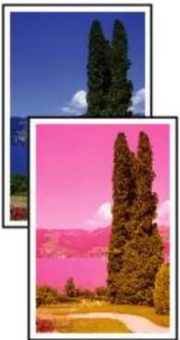 CANON Pixma TS6020 - Paper Is Blank/Printing Is Blurry/Colors Are Wrong/White Streaks Appear - 4