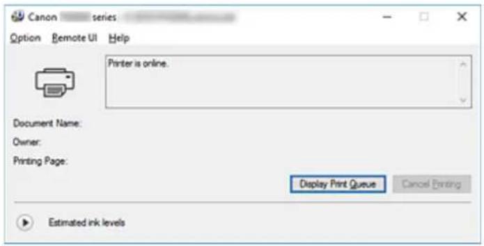 CANON Pixma TS6020 - Checking the Ink Status from Your Computer - 1