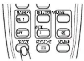 MAGNIFY ON 1 OFF FREEZE MY BUTTON VOLUME MUTE 2 KEystone 3 SEARCH