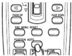 PAGE UP PAGE DOWN ESC MENU RESET POSITION AUTO MAGNIFY RIVI VOLUME
