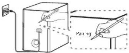 Pairing