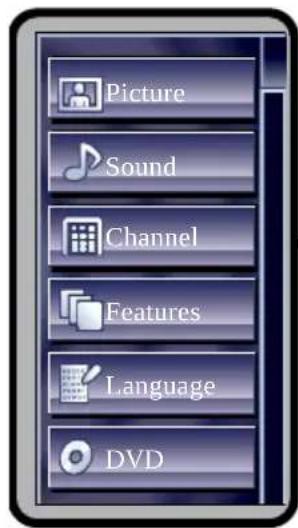 Picture Sound Channel Features Language DVD