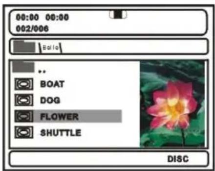 00:00 00:00 00:2/006 Bol /o .. BOAT DOG FLOWER SHUTTLE DISC
