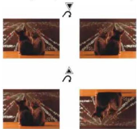 QFX TV-LED1612D - Flipping pictures - 1