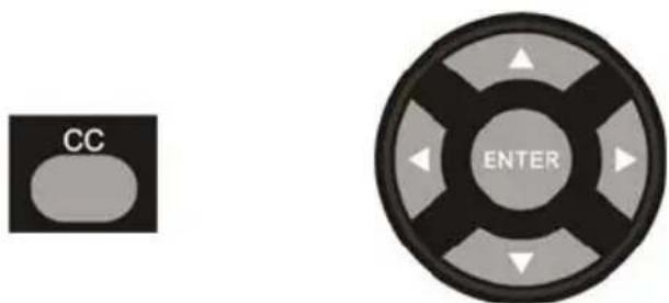 Proscan PLED2435A - Closed Captioning (digital and analog) Explained - 1