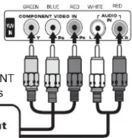 GREEN BLUE RED WHITE RED COMPONENT VIDEO IN AUDIO N Y Ps L IN W/N NT s t