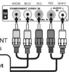 GREEN BLUE RED RED WHITE COMPONENT VIDEO IN AUDIO IN V Y Pz Pn R L NT s t