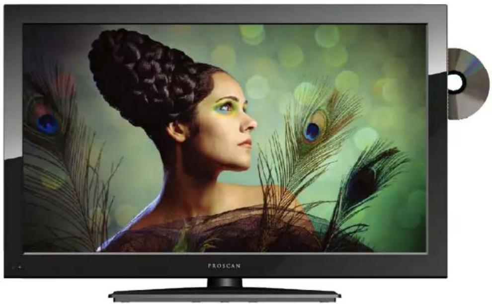 Proscan PLDVD3213A - 1
