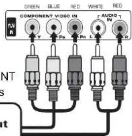 GREEN BLUE RED WHITE RED COMPONENT VIDEO IN Y Pn L AUDIO IN R