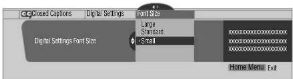 Closed Captions Digital Settings Font Size Large Standard +Small Digital Settings Font Size Home Menu Exit