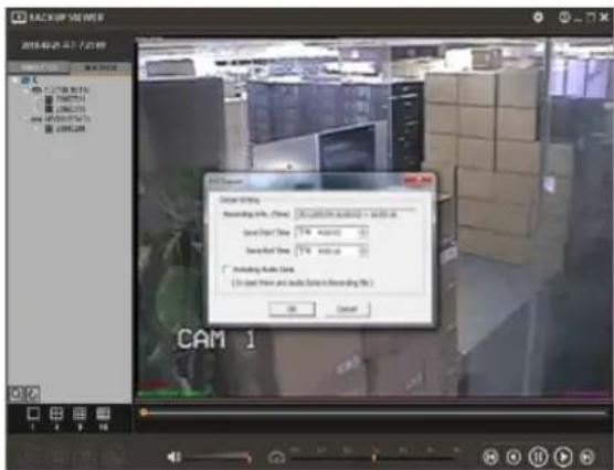 Digital Watchdog VMAX A1 Plus - Backup Video Playback - 5