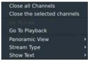 Close all Channels Close the selected channels Go To Live Go To Playback Panoramic View Stream Type Show Text