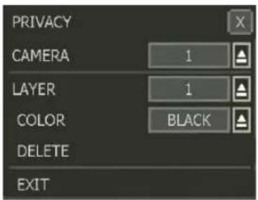 PRIVACY CAMERA 1 ▲ LAYER 1 ▲ COLOR BLACK ▲ DELETE EXIT