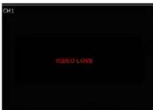 OH1 VIDEO LOSS