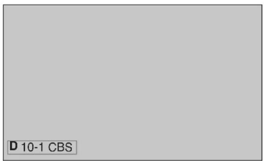 D 10-1 CBS