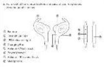 ALTEC LANSING Sport MZX399 - WATERPROOF IN-EAR - 4