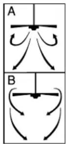 A B