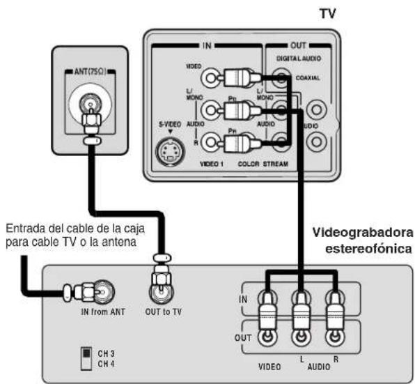 TV INT(75Ω) IN OUT DIGITAL AUDIO COAXIAL VIDEO L/MONO S-VIDEO AUDIO R PH L/MONO AUDIO VIDEO 1 COLOR STREAM Entrada del cable de la caja para cable TV o la antenna IN from ANT OUT to TV Ch 3 CH 4 Videograbadora estereofónica IN OUT VIDEO L/AUDIO R