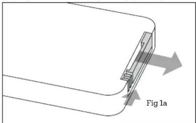 Fig 1a