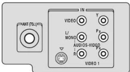 ANT (75Ω) IN VIDEO Y LI MONO AUDIOS-VIDEO PB R VIDEO 1