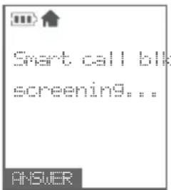 Start call bit screening... ANSWER