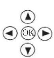 AAXA Technologies P2-B - Playing Videos - 1