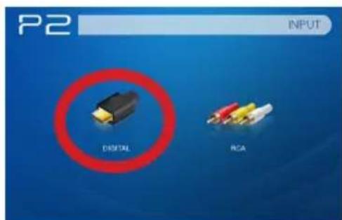 P2 INPUT DRITAL RCA