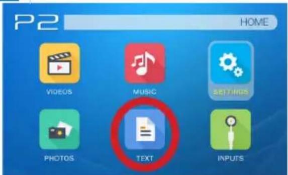 P2 HOME VIDEOS MUSIC SETTINGS PHOTOS TEXT INPUTS